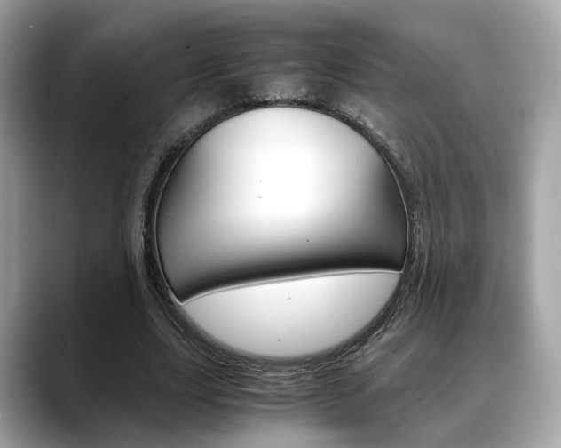 X0000088720631200705311057