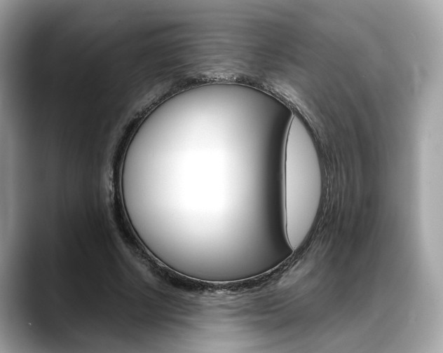 X0000088720634200705311057