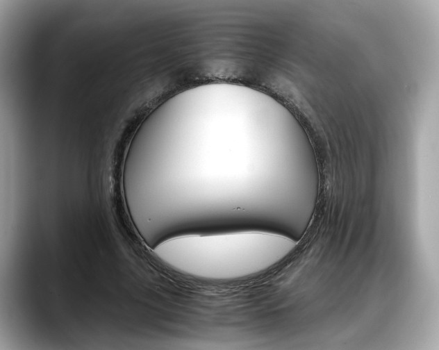 X0000088720635200705311057