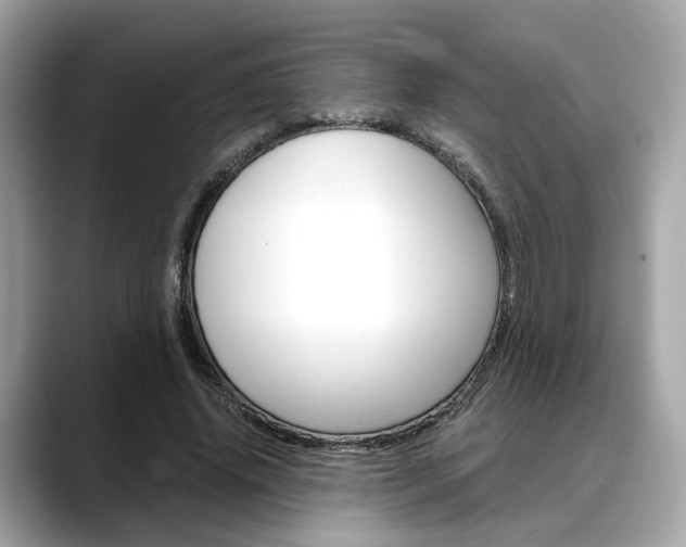 X0000088720636200705311057
