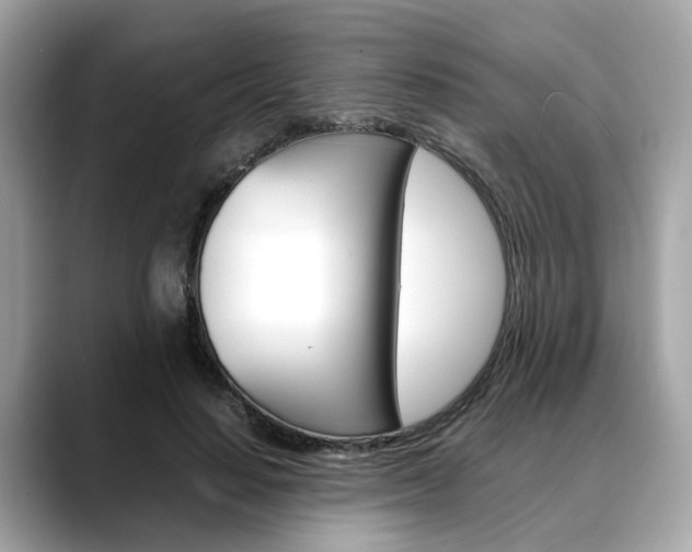 X0000088720644200705311057
