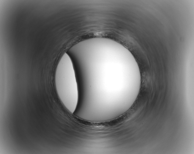 X0000088720650200705311058