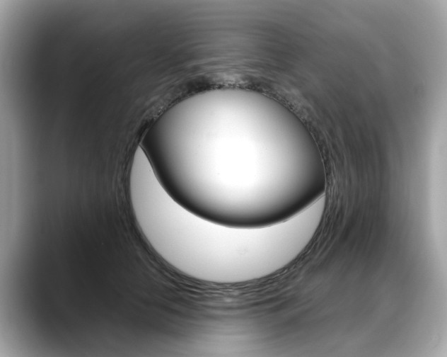 X0000088720658200705311058
