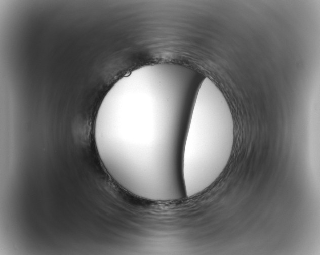 X0000088720660200705311058