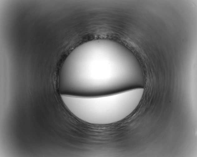 X0000088720661200705311058
