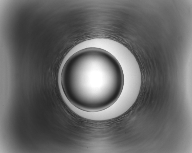 X0000088720664200705311058
