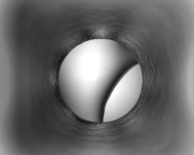 X0000088720665200705311058