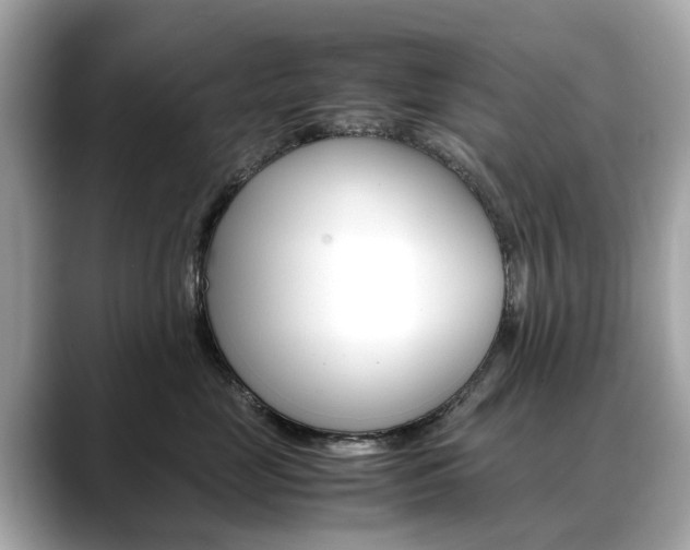 X0000088720669200705311058