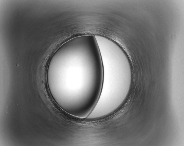 X0000088720673200705311057