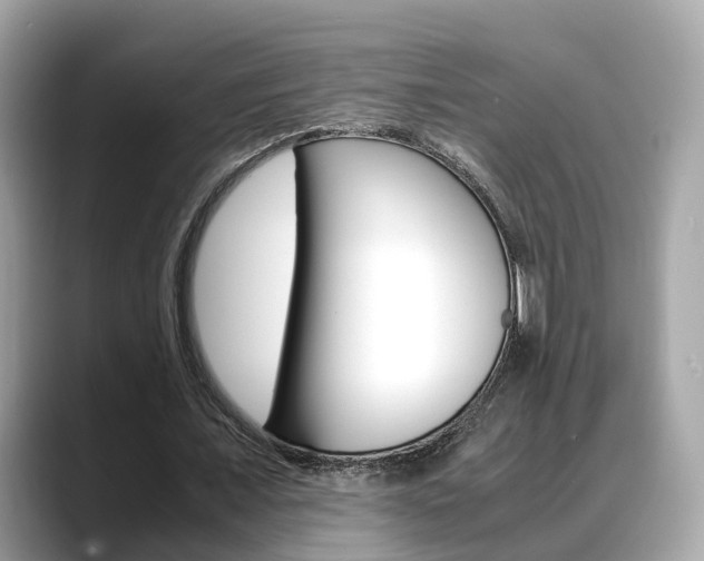 X0000088720675200705311057