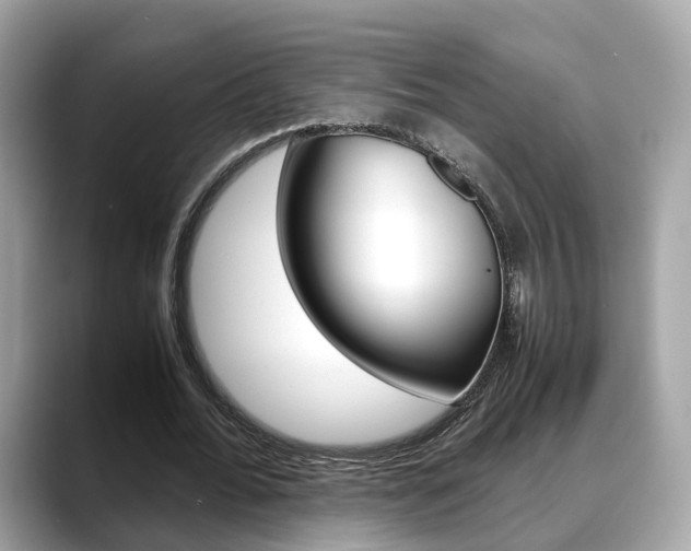 X0000088720676200705311057