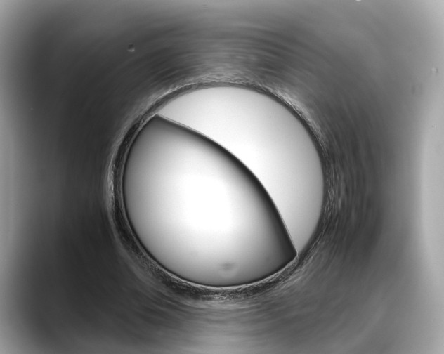 X0000088720678200705311057
