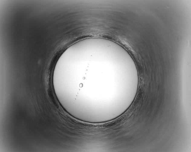 X0000088720679200705311057