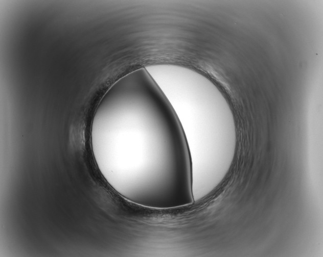 X0000088720685200705311057