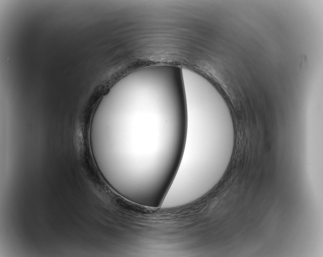 X0000088720688200705311057