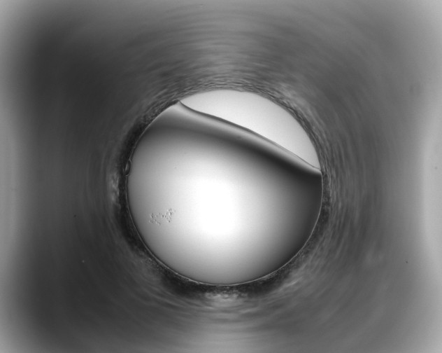 X0000088720693200705311057