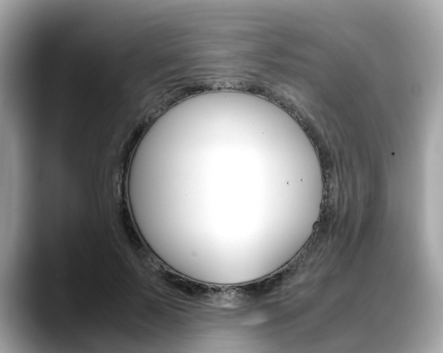 X0000088720695200705311057
