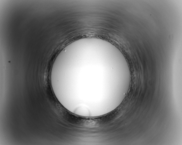 X0000088720698200705311057