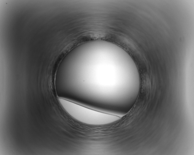 X0000088720700200705311057