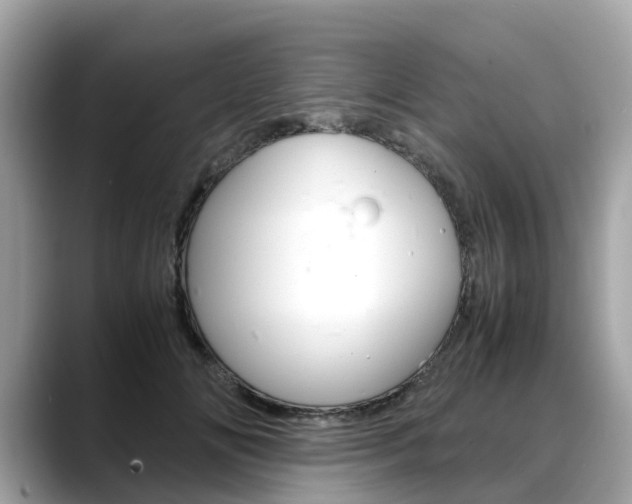 X0000088720702200705311057