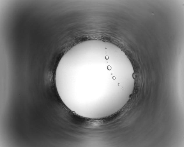 X0000088720711200705311057