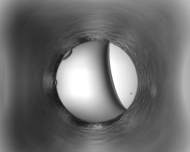 X0000088720715200705311057