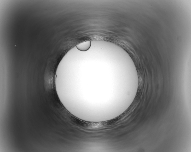 X0000088720717200705311057