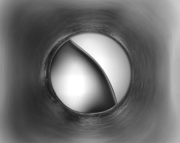X0000088720723200705311056