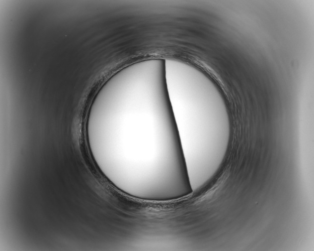 X0000088720725200705311056
