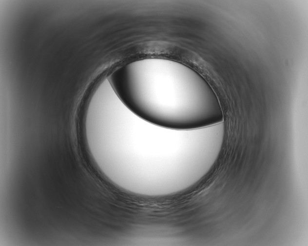 X0000088720727200705311056