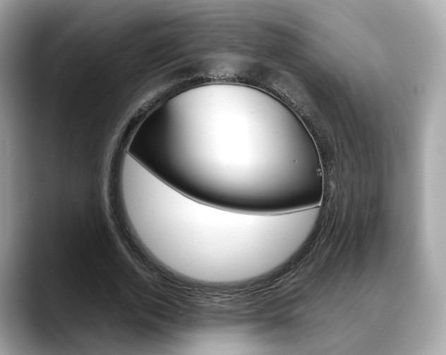 X0000088720728200705311056