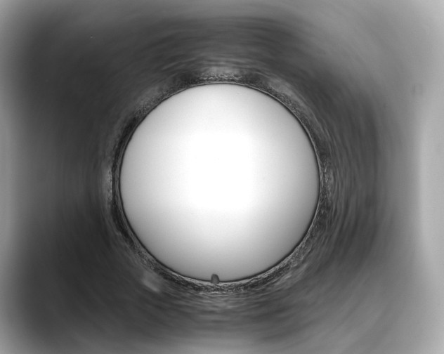 X0000088720729200705311056