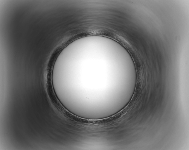 X0000088720730200705311056
