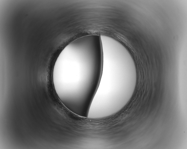 X0000088720732200705311056