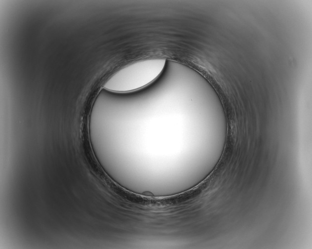 X0000088720735200705311056