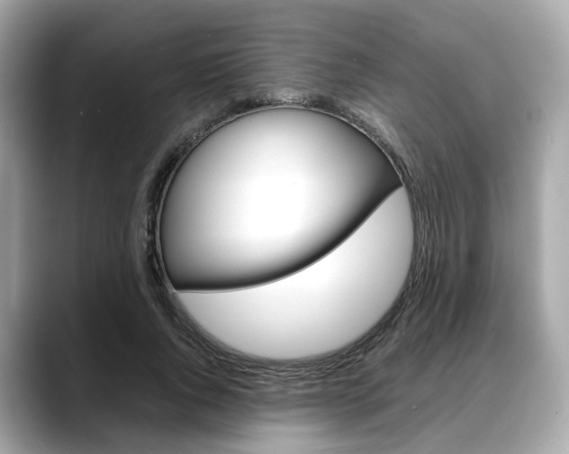 X0000088720736200705311056