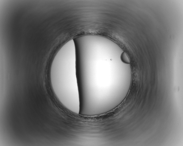 X0000088720738200705311056