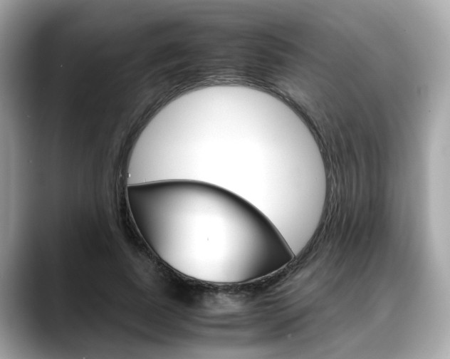 X0000088720739200705311056