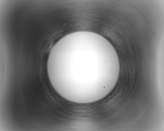X0000088720744200705311056