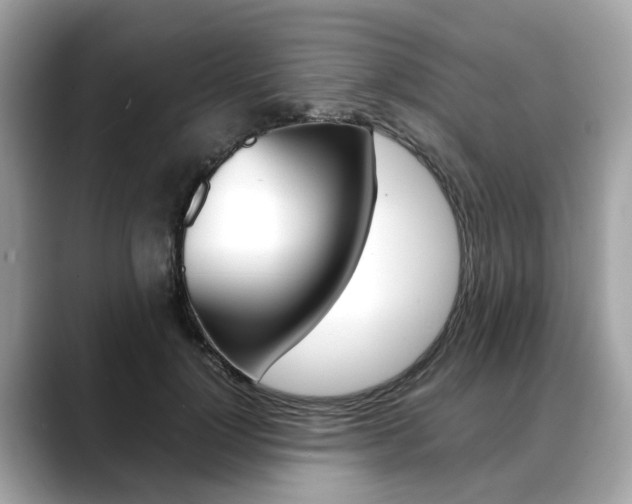 X0000088720748200705311056