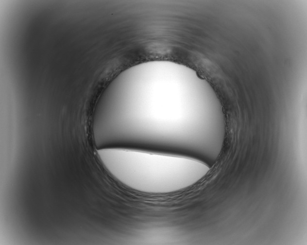 X0000088720758200705311057