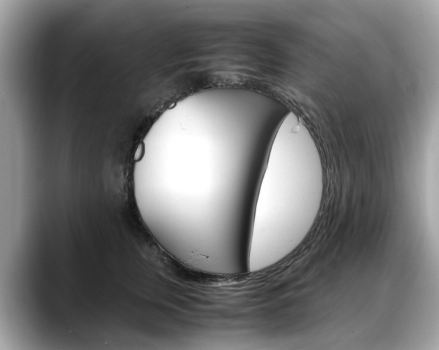 X0000088720759200705311057