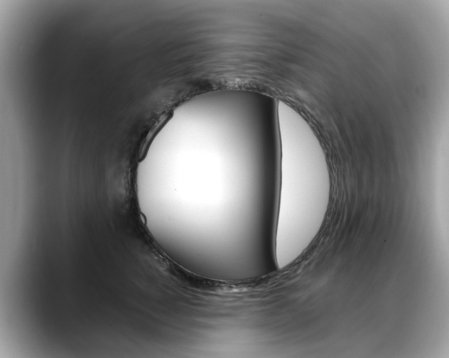 X0000088720760200705311057