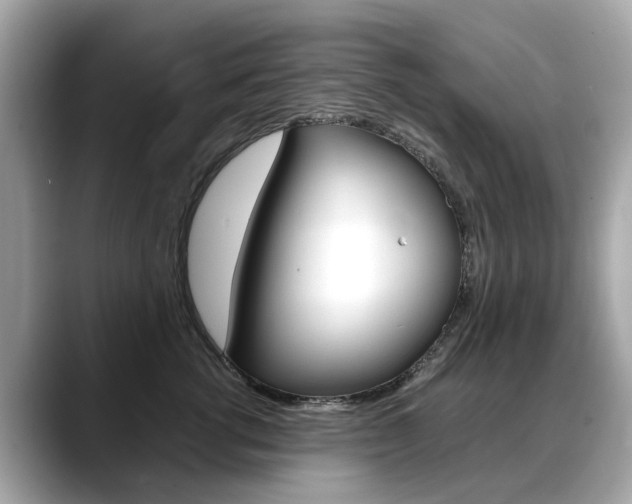 X0000088720762200705311057