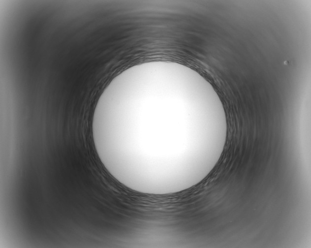 X0000088720764200705311057
