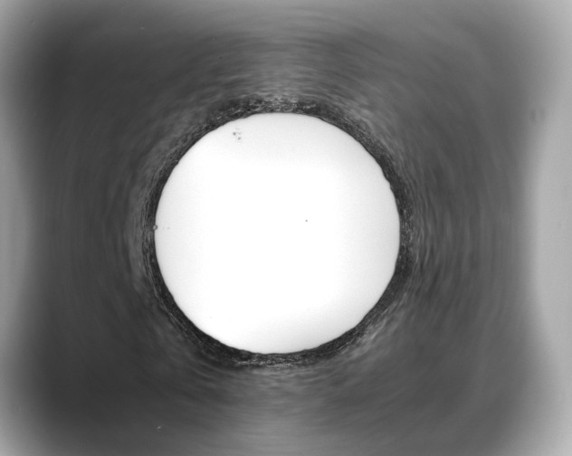 X0000088720769200705311056
