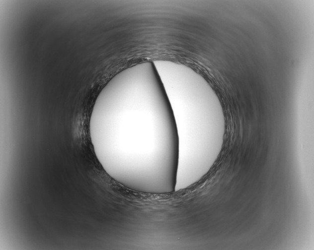 X0000088720770200705311056