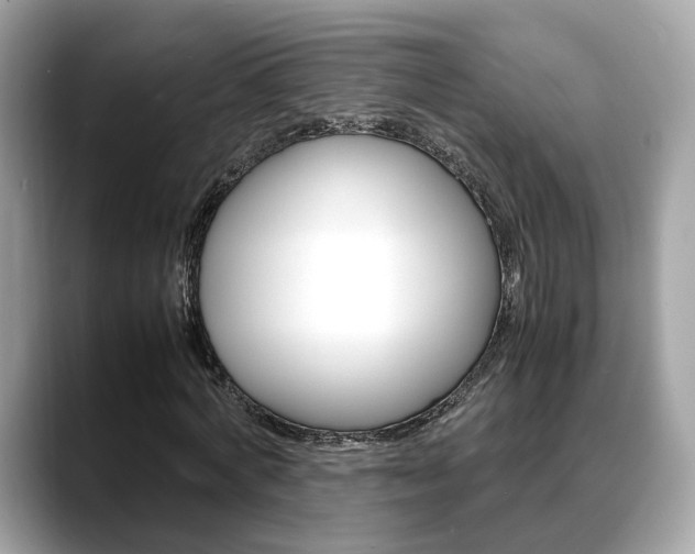 X0000088720772200705311056