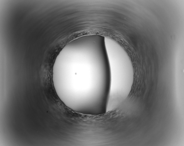X0000088720773200705311056