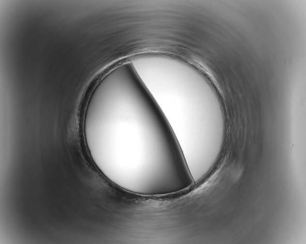 X0000088720779200705311056